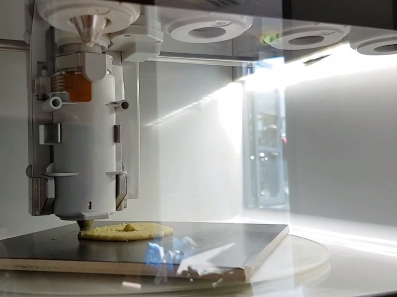 Iceland Biotech Company Experimenting with 3D Food Printing to Encourage Kids to Eat Fish