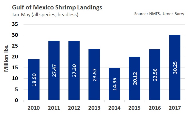 ANALYSIS: May and Year-to-Date Gulf Shrimp Landings Surge