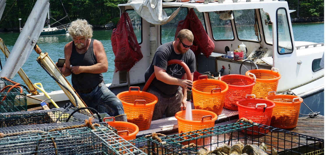 NOAA Awards $9.3 Million to Support 32 Aquaculture Grant Projects