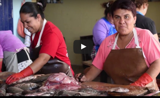 Mexican Film on Tilapia Workers Wins First Prize for World Seafood Congress Women in Seafood Videos