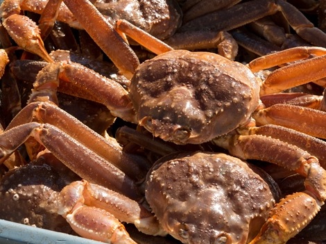 Russian Crab Quota Auction Challenged Over Corruption After Primorye Producers Secure Few Pounds