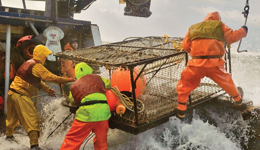 AK Bering Sea Crabbers Launch Search for New Executive Director