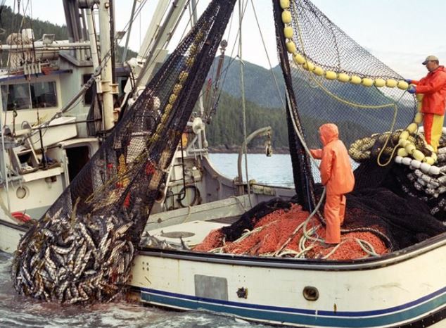 Alaska Fisheries Trust Bill Supported During First House Hearing