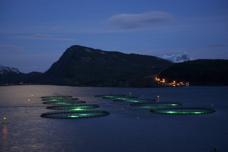 This Startup Is Raising $3.5 Million To Add Machine Learning To Fish Farms