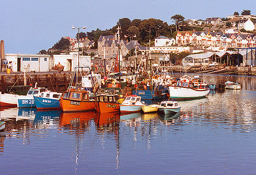 Englands Largest Fishing Port to Get £3.4 Million Shellfish Processing Plant