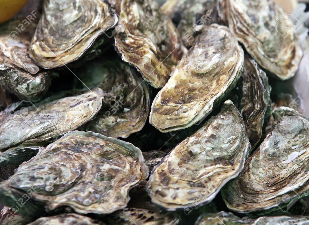 As PEI Oyster Industry Expands, Public Meetings Stir Interest, Concerns
