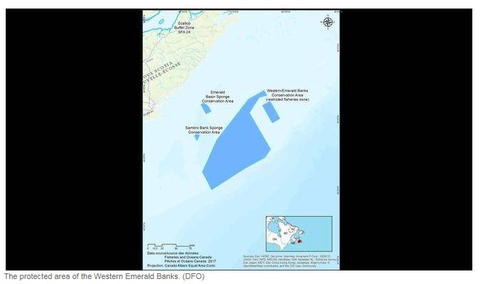 Nova Scotia Fishermen Say Theyve Lost too much Oceam Bottom, Worry over New Marine Reserves