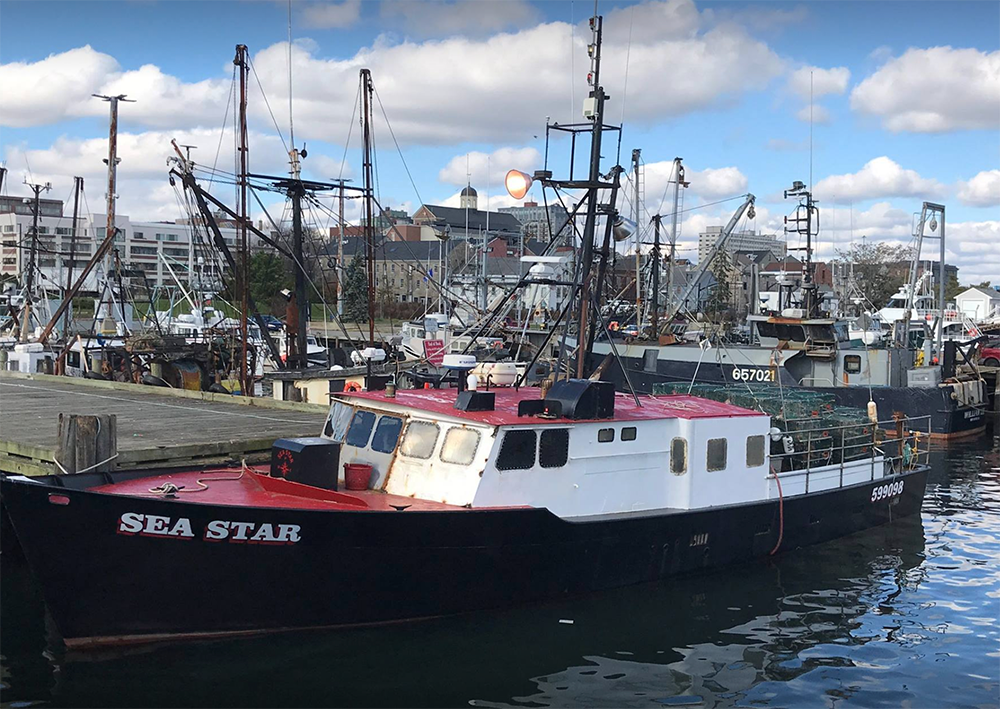 4 Rescued from Atlantic Cape’s Vessel Sea Star, After Sinking off Martha’s Vineyard