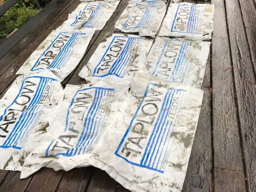 Omega Pacific Sea Farms Takes Blame For Feed Bags That Washed Up on Canadian Beach