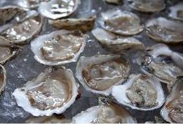 Galveston Bay Oysters Will Take Three Years to Recover From Harvey