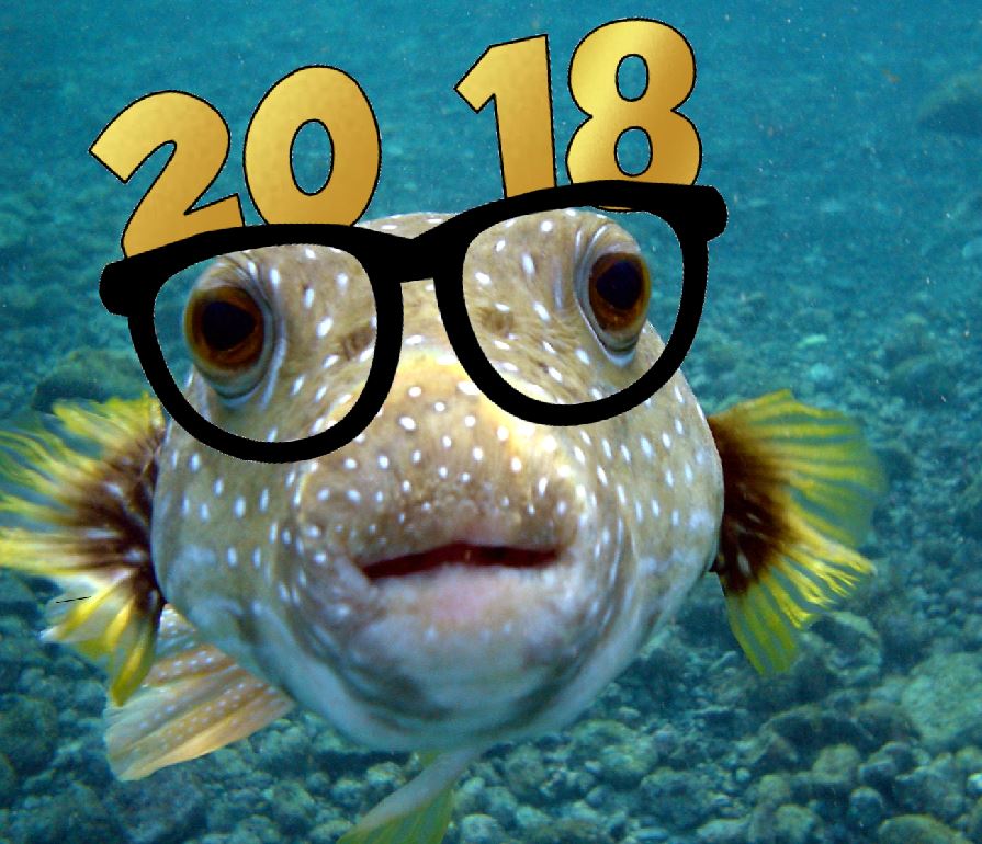 SeafoodNews is Closed on New Years Day, January 1st