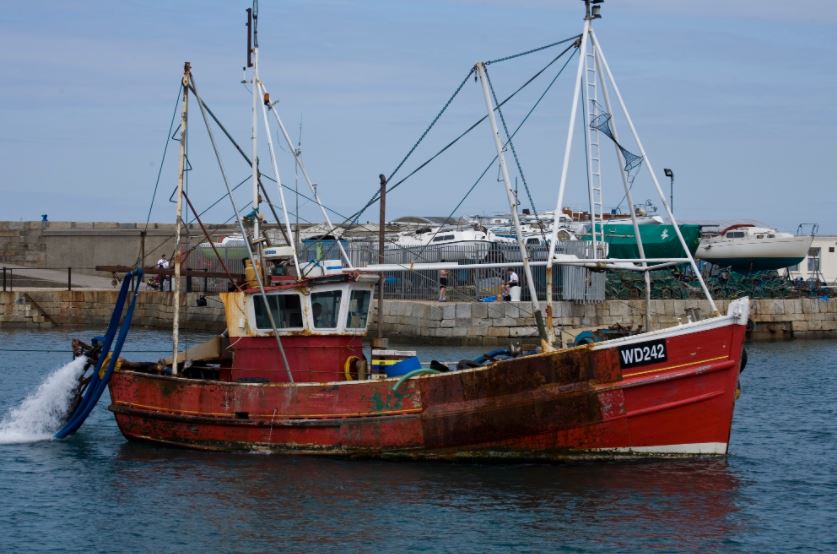Ireland One of Worst Offenders for Overfishing, Says New Report