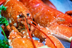 Thai Union Enters High Dining By Offering King Oscar Live Lobster at Mortons Restaurants
