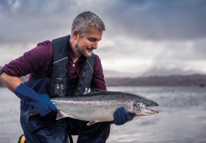 Scotland-Based Loch Duart Fighting Fish Fraud With Fingerprinting