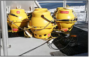 NOAA Study Finds Vessel Traffic Could Reduce Communication Amongst Atlantic Cod, Haddock