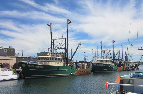 Sector IX Board Members Tell of Business Losses in New Bedford With NOAA Sanctions