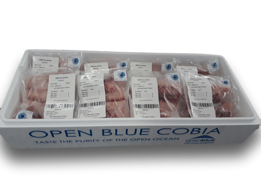 Open Blue Expands Panama City Processing Plant With New Cryogenic, Portion Technology