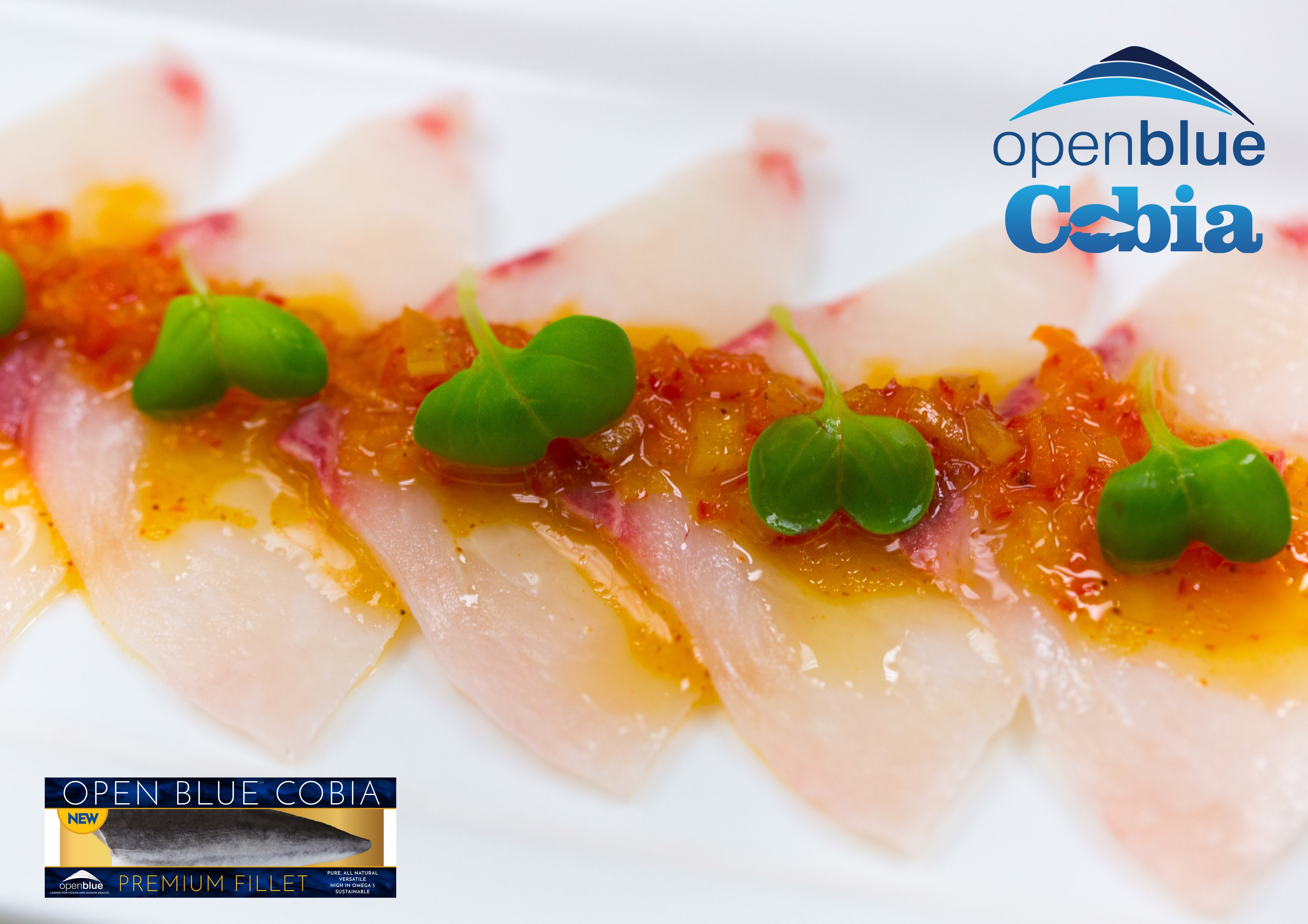 Open Blue Cobia Sashimi Fillet Wins Seafood Excellence Award At Seafood Expo Global