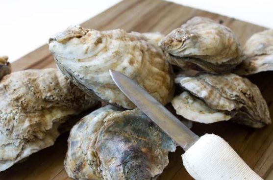 Oyster, Scallop Processing Plant in China Lands BAP Certification