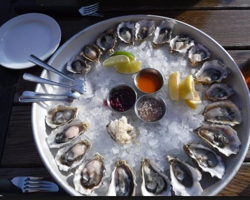 Discovering the Odd Life of Pacific Northwest Oysters – and Those Who Farm Them