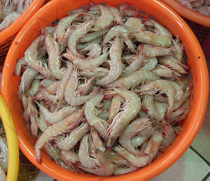 Pakistani Seafood Gaining Popularity in China