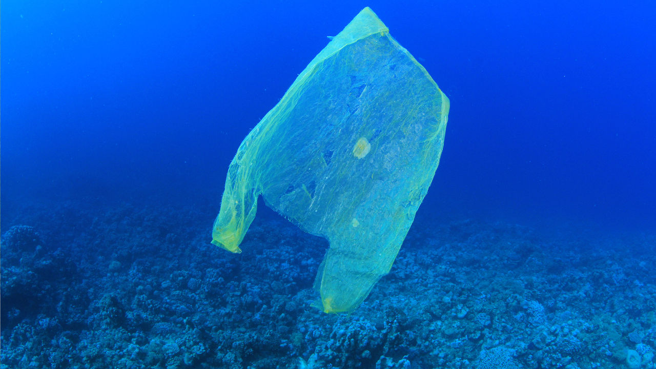 Earth Day: Whats Trashing Our Oceans?