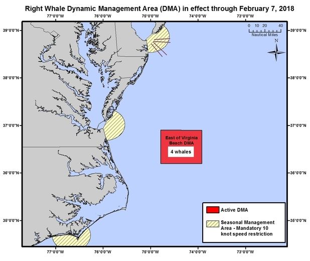 NOAA Establishes Voluntary Slow Speed Zone in Mid-Atlantic After Report of Right Whale Death