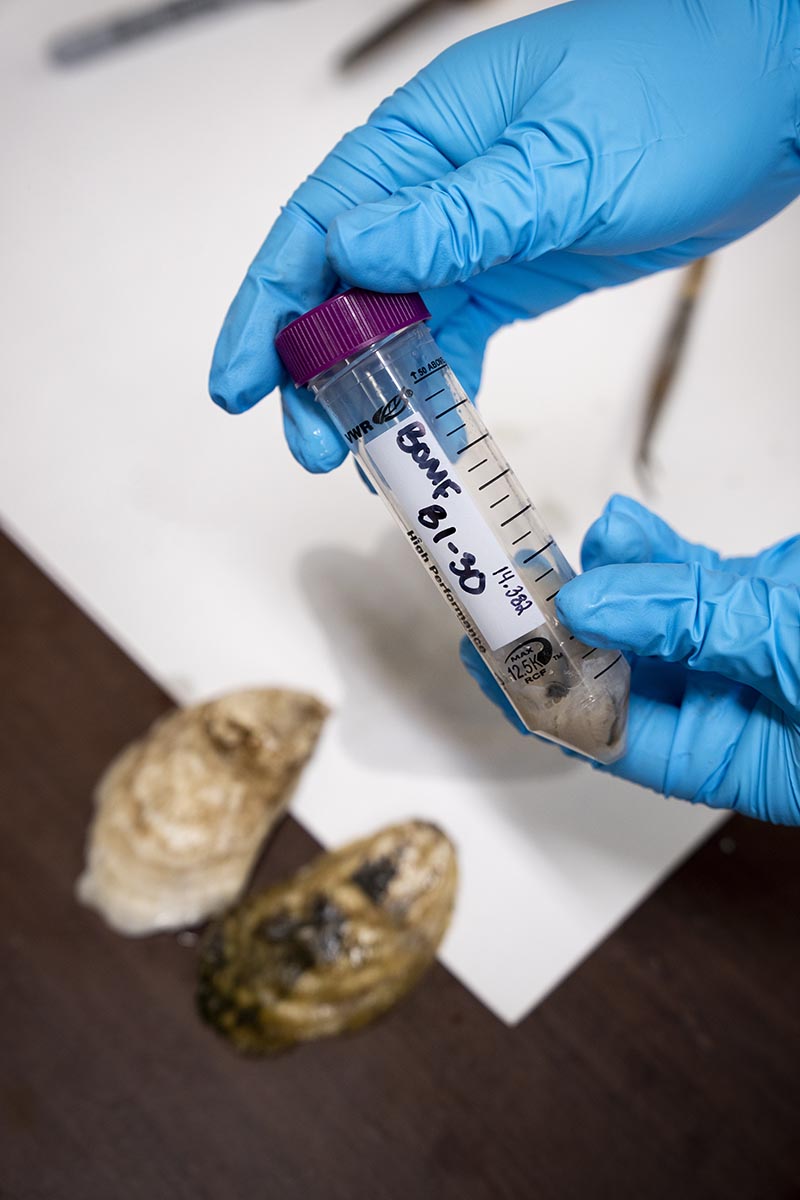 UMaine Student Develops Tool to Help Maine Oyster Farms Survive Winter Losses