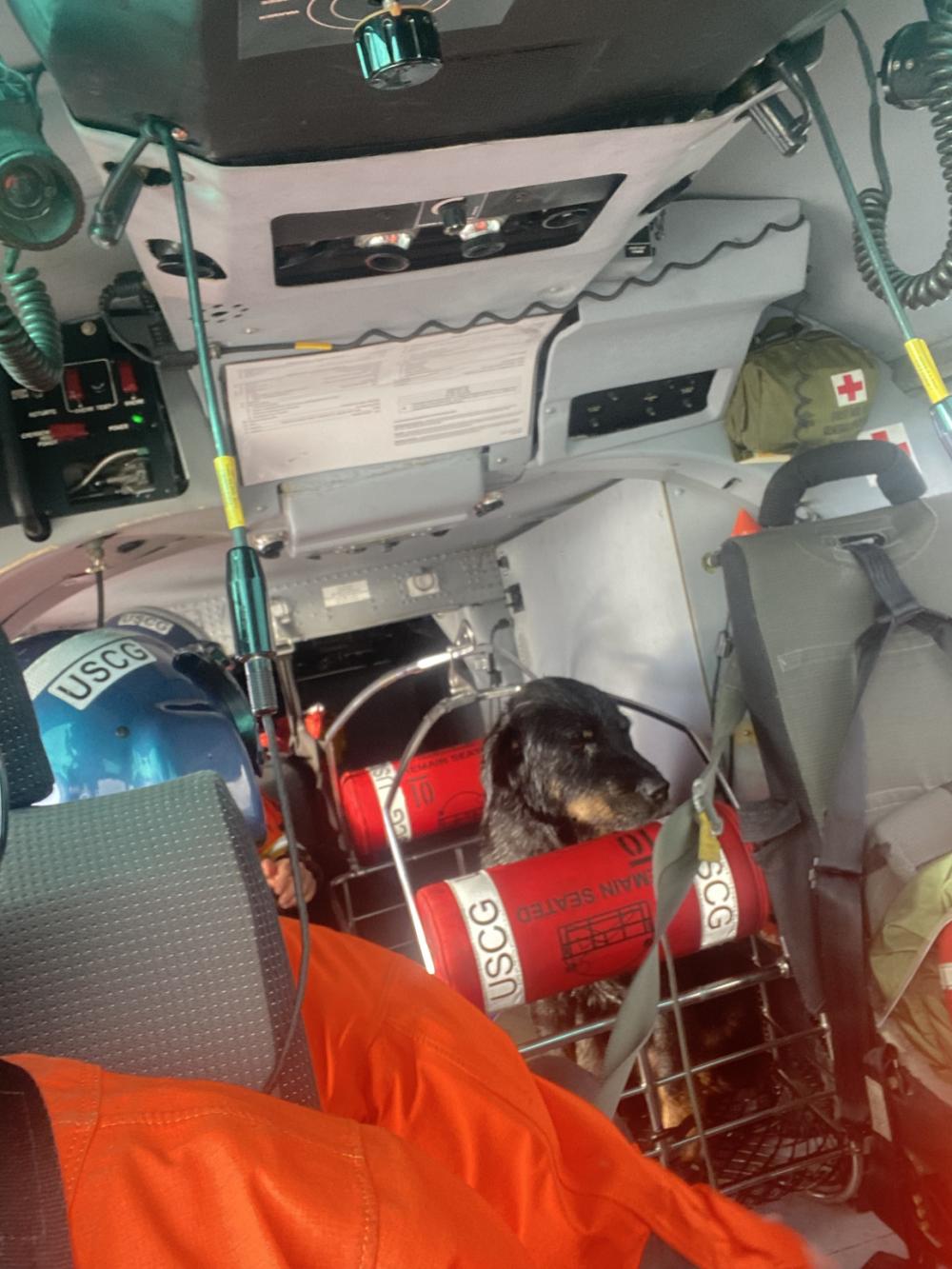 Two Coast Guard Rescues Save Mariners and Their Dogs in Alaska and British Columbia Over Holidays