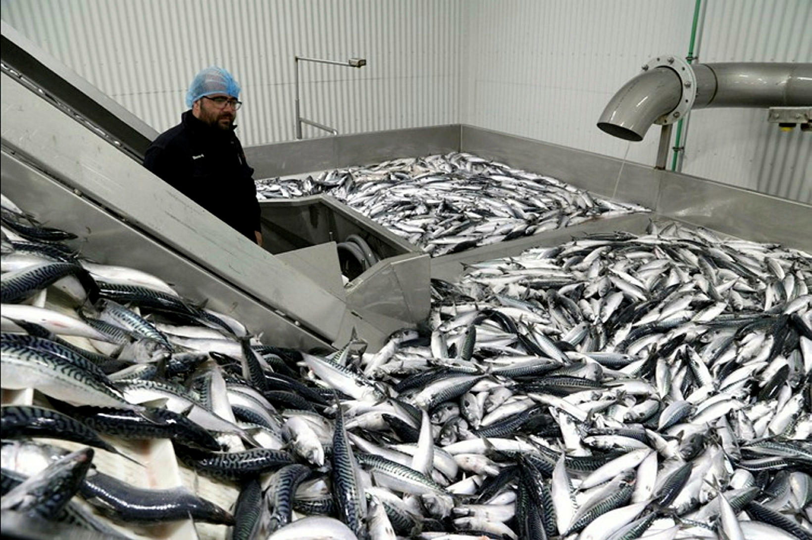 Industry Groups Express Strong Disappointment Over Mackerel Agreement