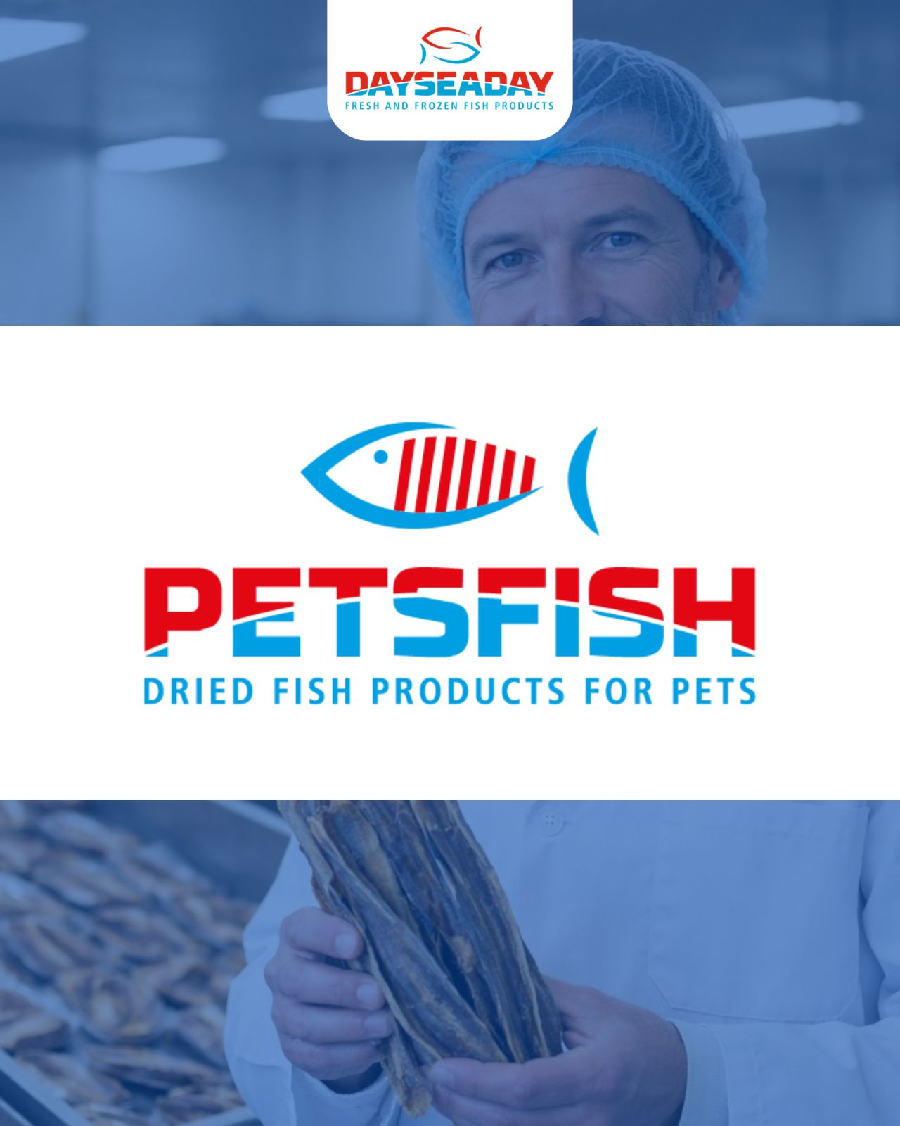 Dutch Seafood Trader Dayseaday Expands into Pet Food Market with PetsFish Partnership