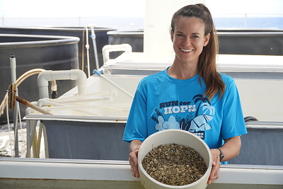 Pacific Hybreed Secures $1M to Scale Shellfish Seed Production