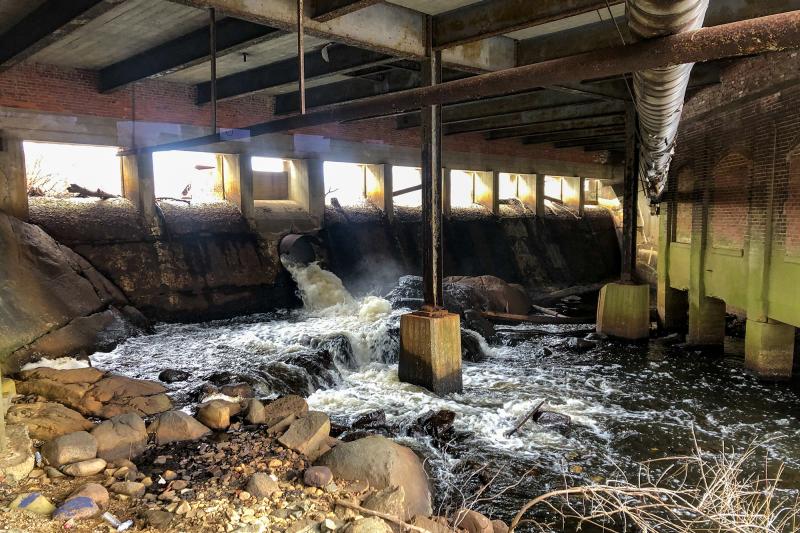 “I Love Seeing Dams Come Down”: River Herring Return in Massachusetts After 200 Years