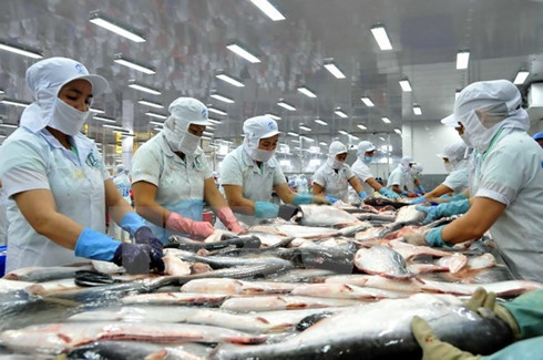 USTR Seeking Comments on Vietnam’s WTO USDA Catfish Program Complaint