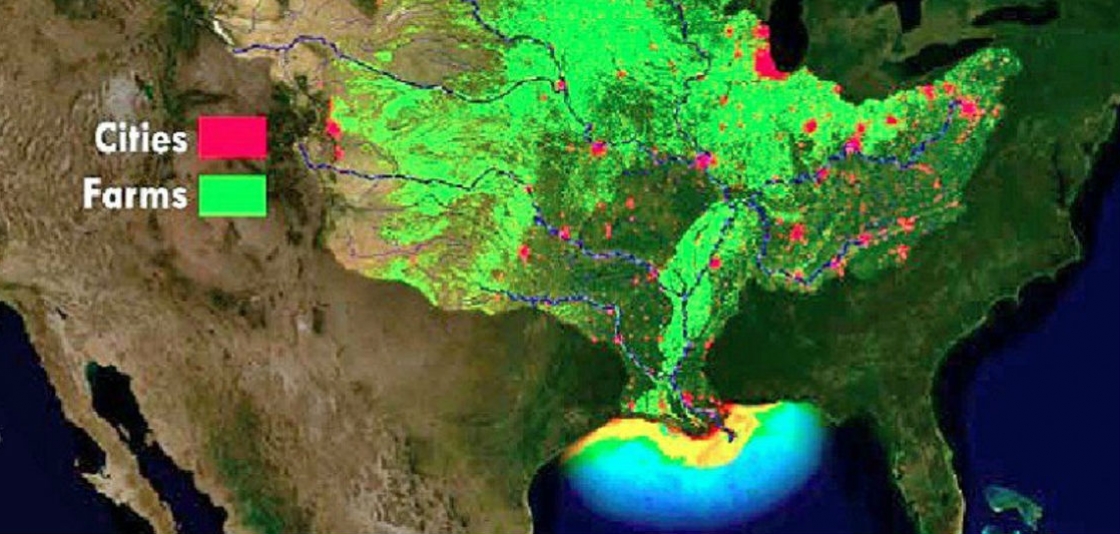 Gulf of Mexico Dead Zone Forecasted to Reach 7,829 Square Miles