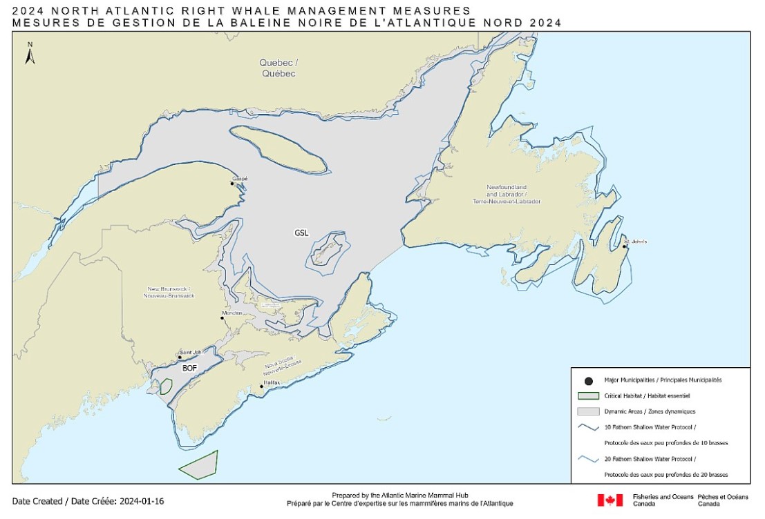 DFO Announces Rules For NARW Temporary and Season-Long Grid Closures Ahead of 2024 Snow Crab Season