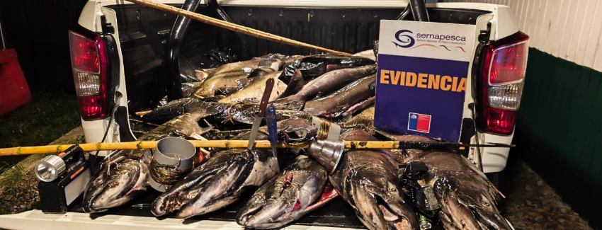 Sernapesca Cracks Down on Illegal Inland Fishing in Chile’s Los Ríos Region