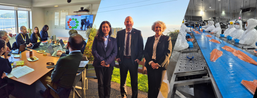 Sernapesca Hosts FDA and Mattilsynet to Showcase Chile’s Salmon Farming Standards