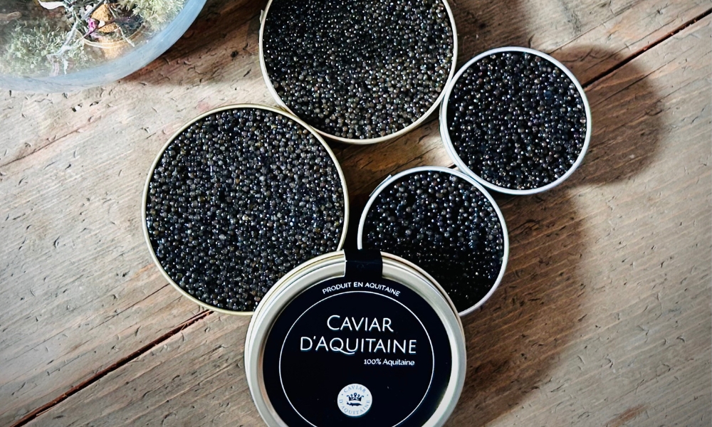 French Caviar Company Becomes First to Use BioMar’s Low-Impact Feed