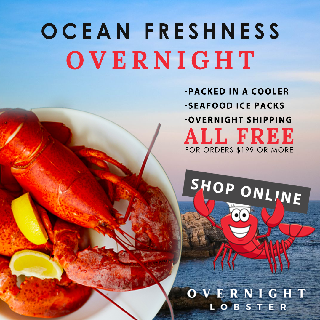 Overnight Maine Lobster Now Shipping Nationwide