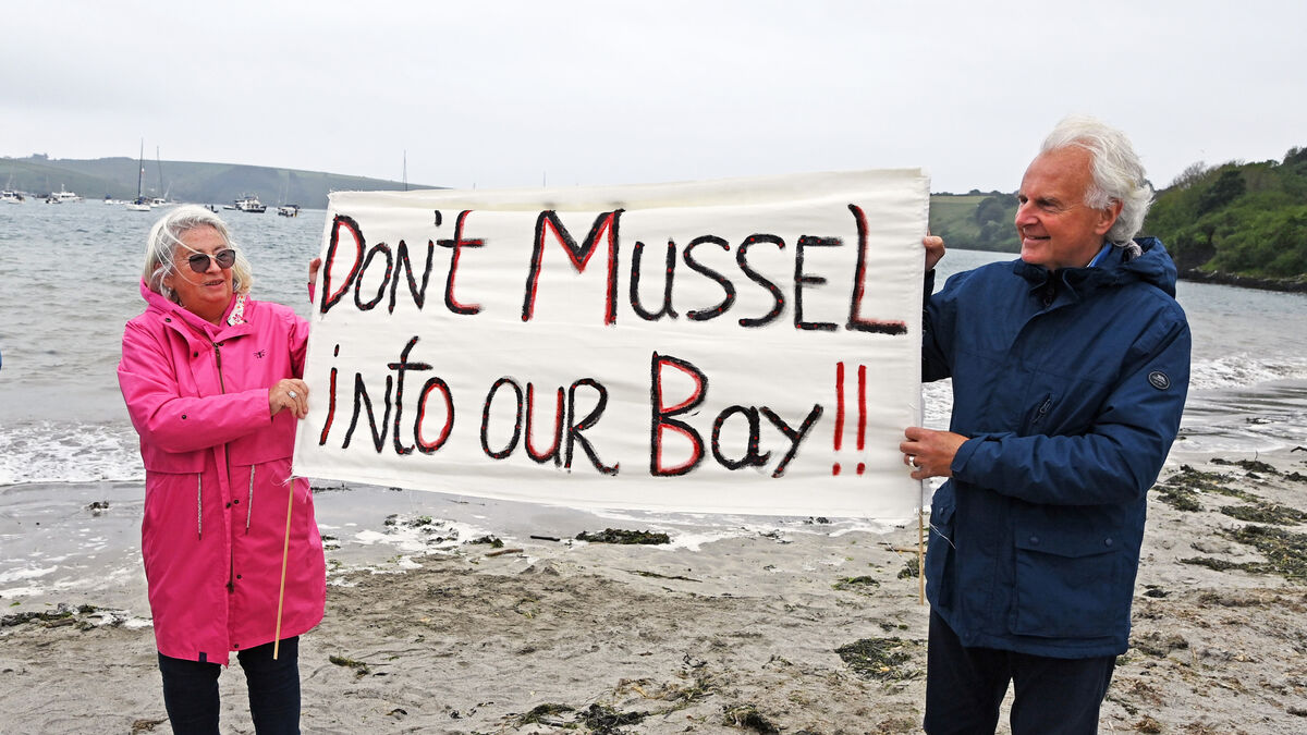 Industrial-Scale Mussel Farm is ‘Completely Incompatible’ with Kinsale Harbour, Campaigners Say