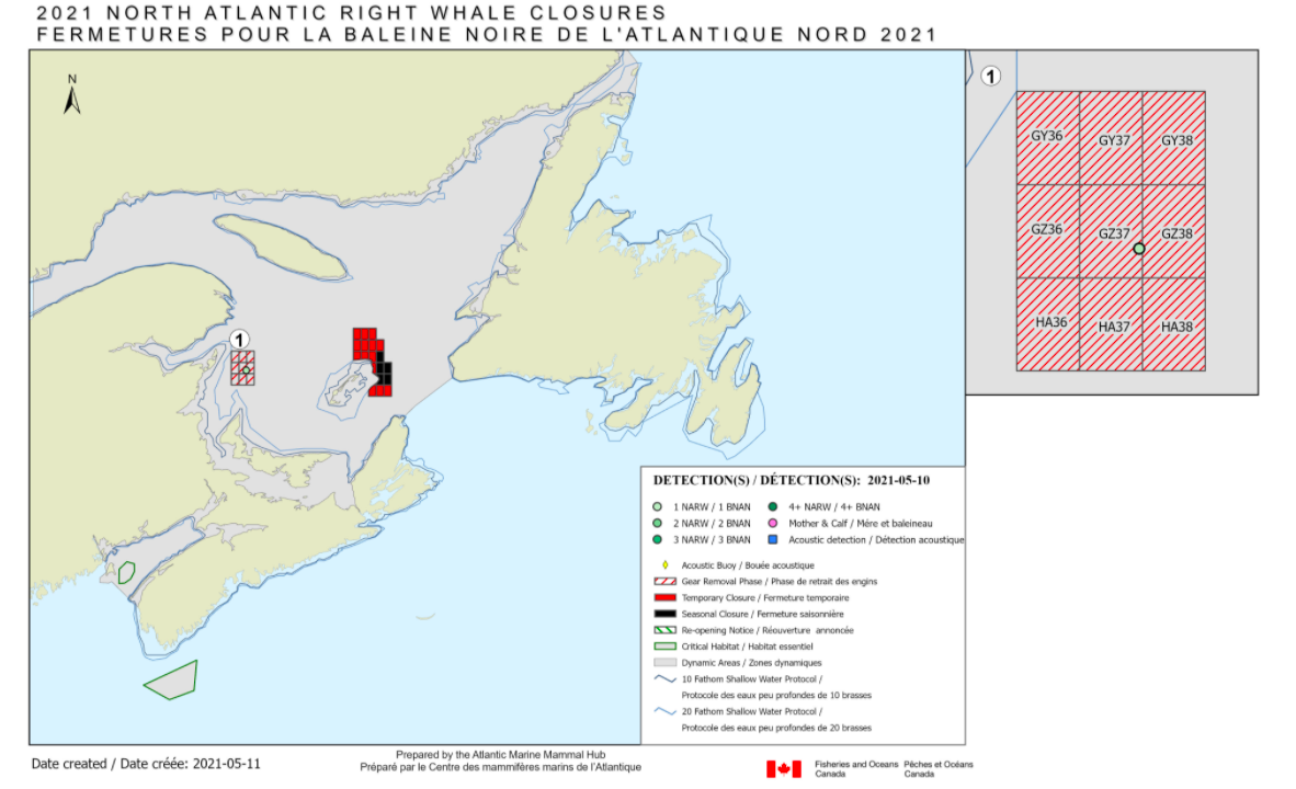 Gulf of St. Lawrence Announces More Grid Closures With 85% Snow Crab Quota Caught
