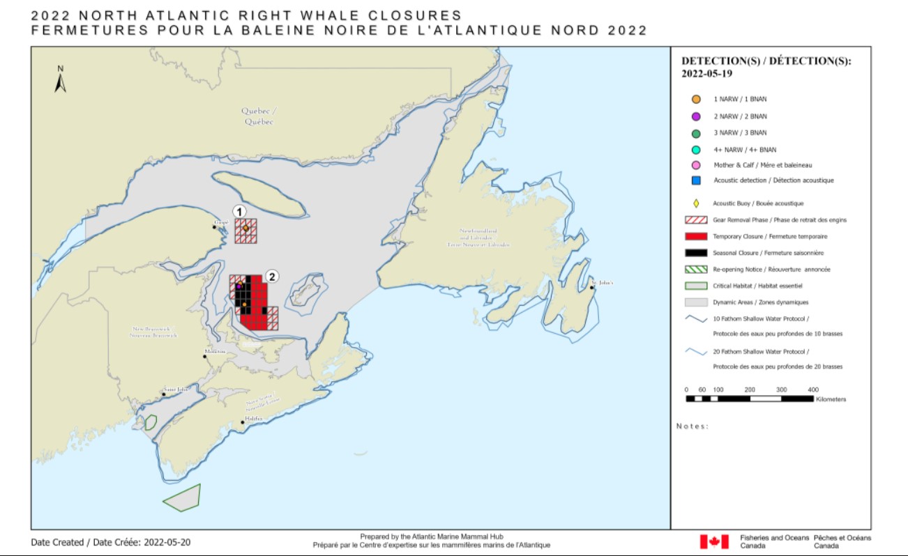 Seasonal Snow Crab Grid Closures Announced in Gulf of St. Lawrence Following NARW Entanglement