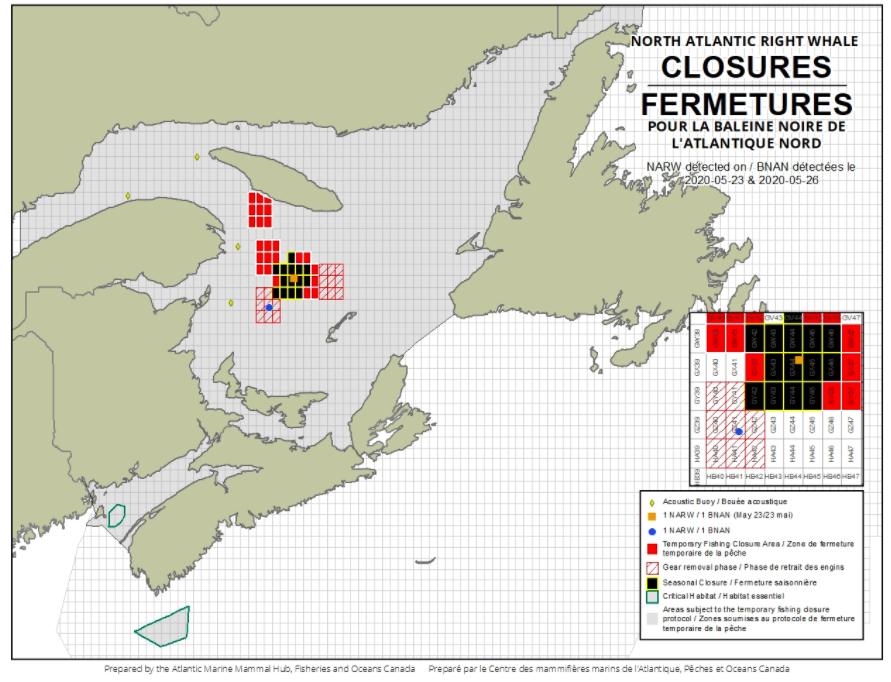 DFO Announces Additional Season-Long Grid Closure in Gulf of St. Lawrence