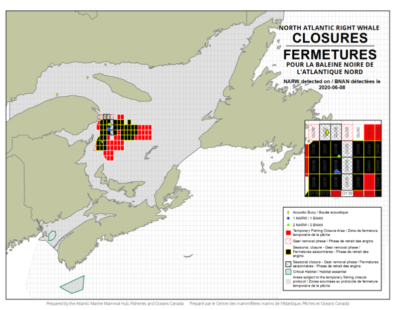 Gulf of St. Lawrence Now Has Over 40 Season-long Grid Closures Due to North Atlantic Right Whales