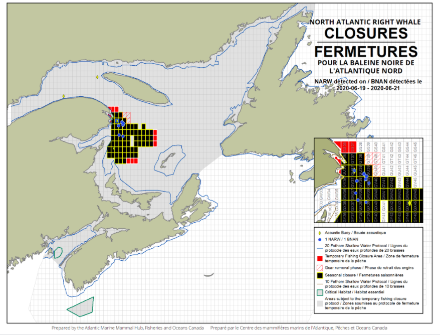 Over 84% of Gulf of St. Lawrence Area 12 Snow Crab Quota Landed Week Before Fishery Set to Close