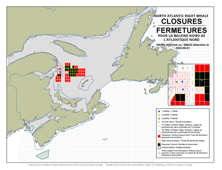 Gulf Of St Lawrence Now Has 22 Season Long Grid Closures Due To