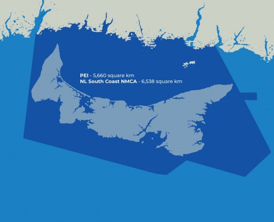 NAIA: Political Leaders Must Commit Now to Withdraw from Proposed National Marine Conservation Area