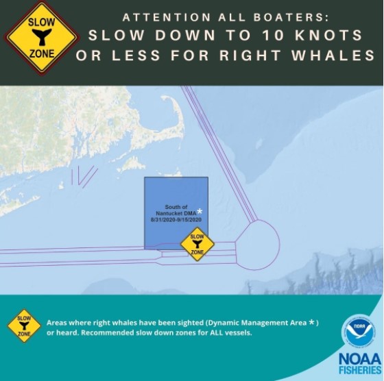 Vessel Slow Speed Zone South of Nantucket in Effect Through September 15 to Protect Right Whales