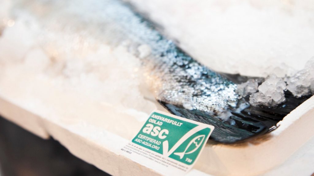 All Mowi Farms in Campbell River Area Now Certified to ASC Salmon Standard